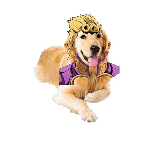 Making jojo characters as dogs until i read stone ocean day #1 Giorno ...