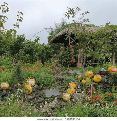 Various Flowers Nature Jeju Island Stock Photo 1900133104 | Shutterstock