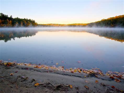 Walden Pond | The Walden Woods Project