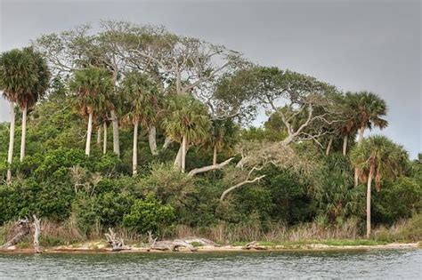 Cedar Key Florida National Wildlife Refuge Islands on the Gulf of Mexico - Picture of Cedar Keys ...