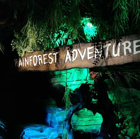 Enjoy a Rainforest Adventure! at SEA LIFE London Aquarium #BravetheBugs