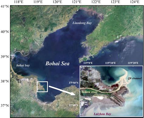 Frontiers | Analysis of the evolution of the Yellow River Delta ...