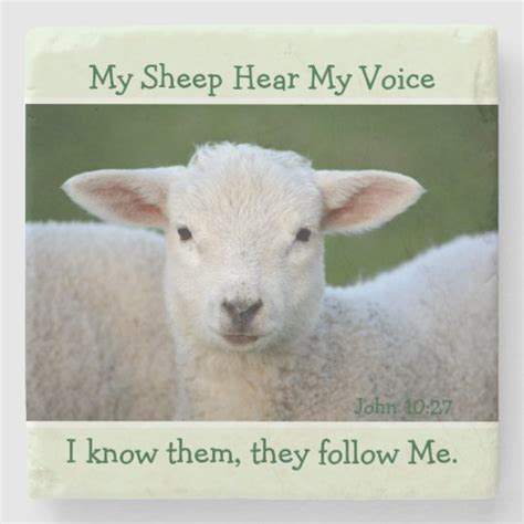 My Sheep Hear My Voice, Bible Verse John 10:27, Stone Coaster | Zazzle.com