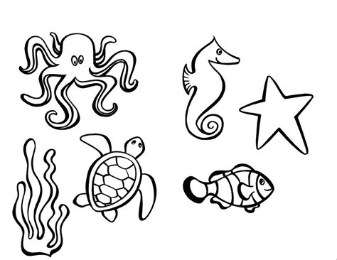 Sea Creatures Drawing Images ~ Sea Creatures Drawing At Getdrawings ...