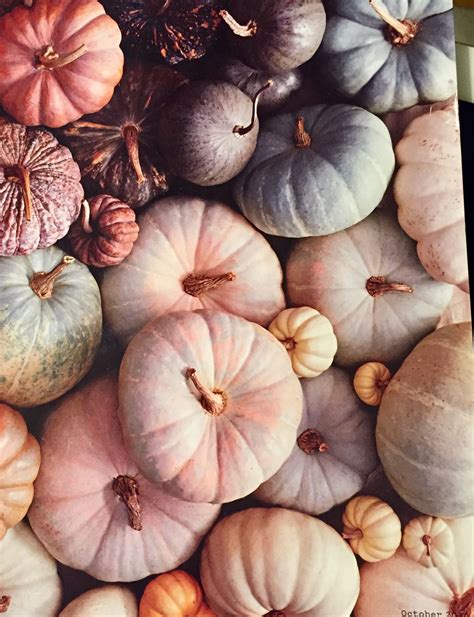 Pin by ♛ Cortni on ||.All things Arbonne.|| | Pumpkin wallpaper, Fall wallpaper, Pink pumpkins