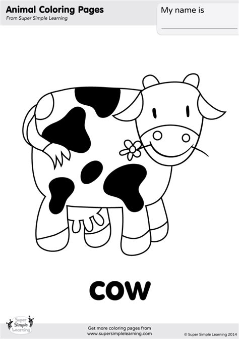 Baby Cow Coloring Sheet Coloring Pages