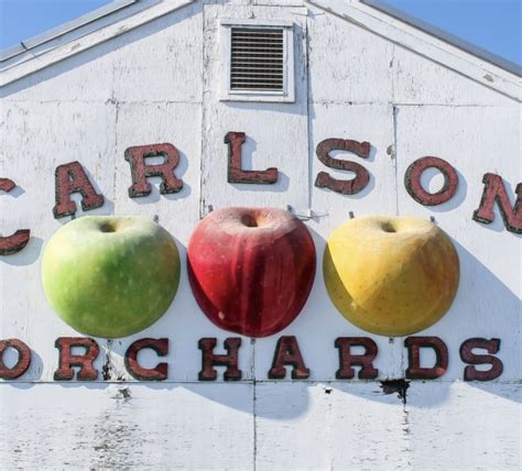 Apple Picking at Carlson Orchards [09/02/24]