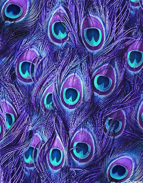 Proud as a Peacock - Tail Feathers - Purple - DIGITAL PRINT | Peacock feather art, Peacock art ...