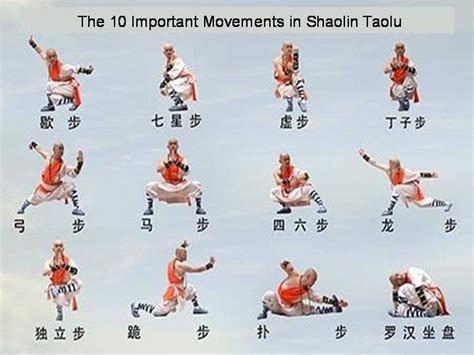 Shaolin moves | Martial arts training, Shaolin kung fu, Shaolin