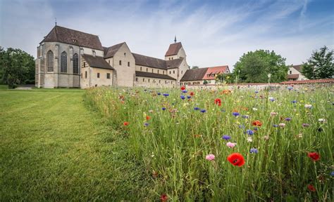 Reichenau Island - Seeker