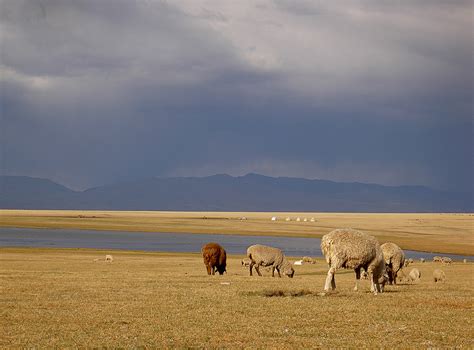 Lakes of Kyrgyzstan | Тянь-Шань Трэвел