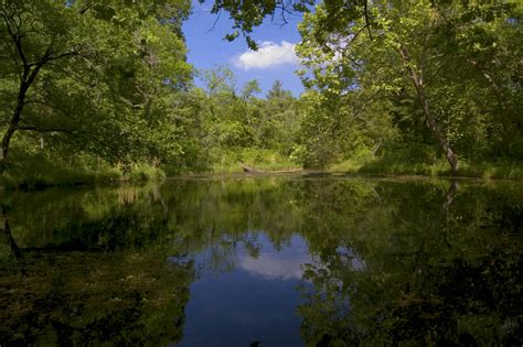 Beaver Pond | Chickasaw National Recreation Area, Sulphur Ok… | Flickr