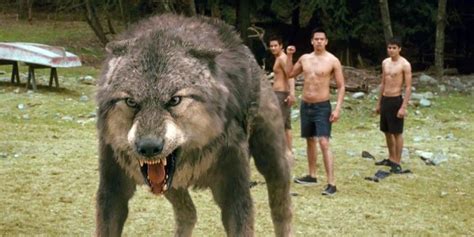 5 Best Movie Werewolves (& 5 Worst)