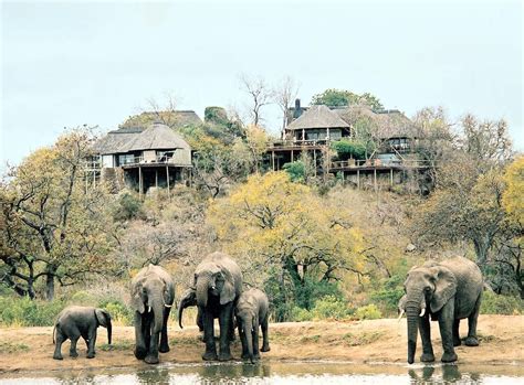 Leopard Hills | Sabi Sand Private Game Reserve