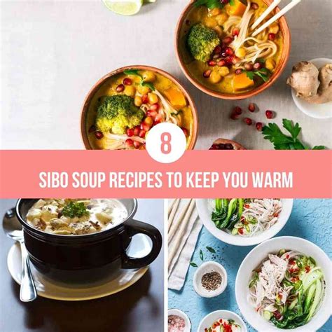 8 SIBO Soup Recipes To Keep You Warm - The Healthy Gut