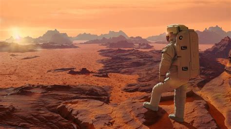 Bacteria could help ‘space farmers’ grow plants on Mars