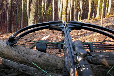 9 Best Crossbow Scopes 2023 [Garmin, Vortex, Burris & More]