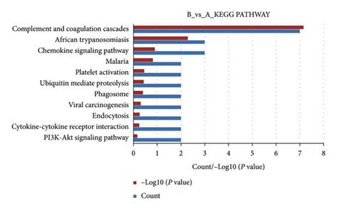 Classification of the identified proteins by KEGG database. (a) The ...