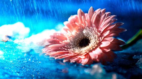 Rain Photography Wallpapers - Top Free Rain Photography Backgrounds - WallpaperAccess