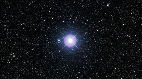 Procyon Star – Little Dog – Astrology King