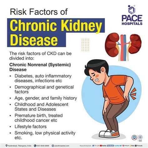 Kidney Failure Causes