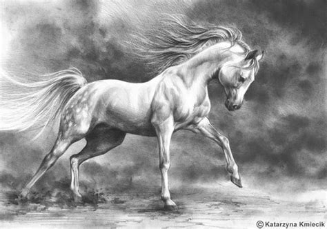 running horse original drawing white horse pencil drawing