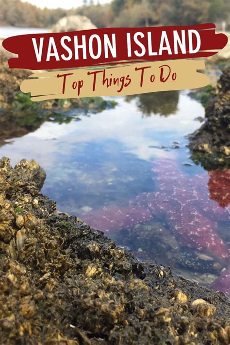 Vashon Island Top Things To Do (2019) | Washington travel, Vashon island, Seattle vacation