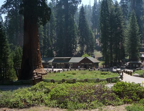 File:Sequoia National Park - Giant Forest Museum.JPG