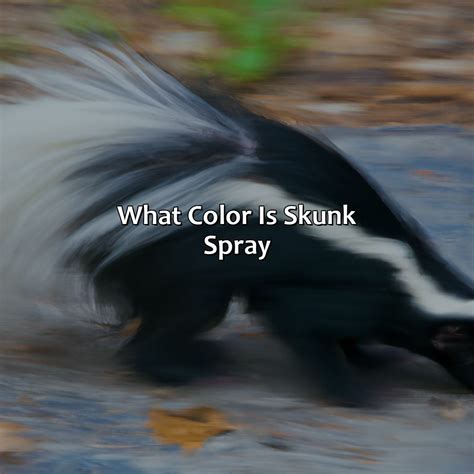 What Color Is Skunk Spray - colorscombo.com