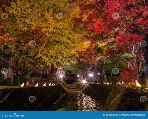 Fujikawaguchiko Autumn Leaves Momiji Festival Stock Image - Image of chureito, maple: 139286105