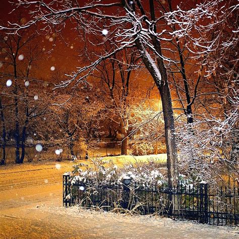 First Snowfall Photograph by Daniel Berman - Pixels