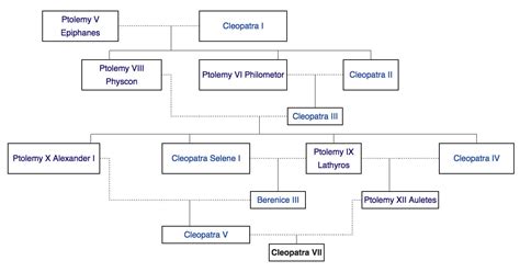 Thanks, I hate Cleopatra's family "Tree" : r/TIHI