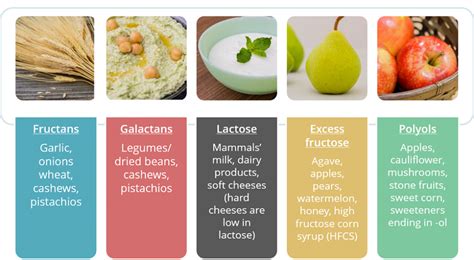 FODMAP Intolerance | Guthealth