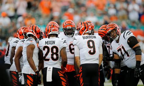 Cincinnati Bengals’ projected depth chart for updated 53-man roster