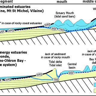 7 Downstream–upstream cross section in a tide-dominated estuary along ...