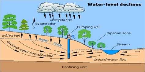 Effects of Groundwater Depletion - Assignment Point