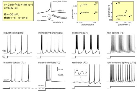 The Izhikevich neuron model and different firing patterns of known ...