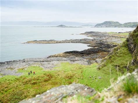 Mull, Staffa and Iona wildlife tour in Scotland | Responsible Travel