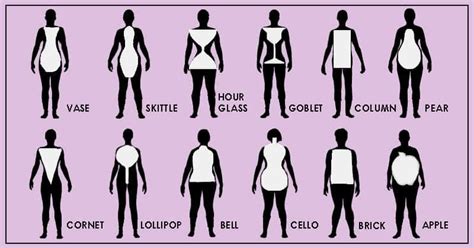 Body shape calculator - LyanneElliana