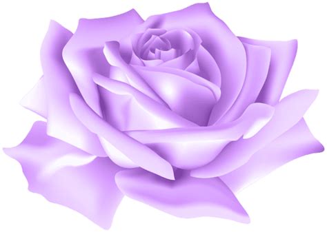 Free Purple Roses Png, Download Free Purple Roses Png png images, Free ...