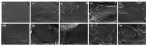 Development and Characterization of an Edible Zein/Shellac Composite Film Loaded with Curcumin