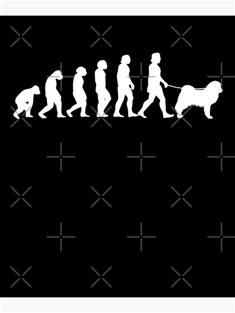 "Do Khyi Evolution Tibetan Mastiff Tibetan Mastiff" Poster for Sale by ...