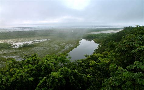 Maya Biosphere Reserve_EBG (27) | Maya Biosphere Reserve_Gua… | Flickr