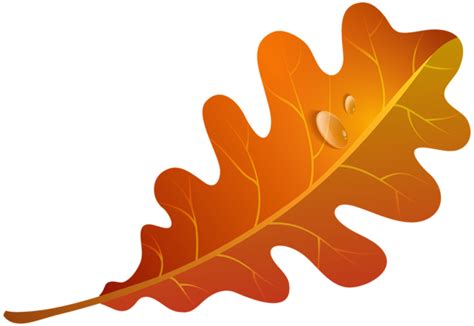 Orange Fall Leaf Clip Art