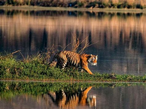 Sundarbans Travel Guide: 3 Places to Go, What to Do?