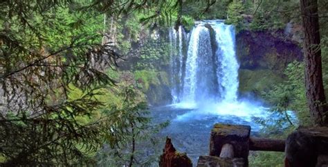 McKenzie River Waterfall Loop Trail | VisitMcKenzieRiver.com