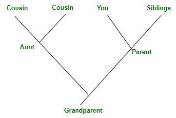 Phylogenetic Trees - Definition, Parts, Types, Importance, and FAQs