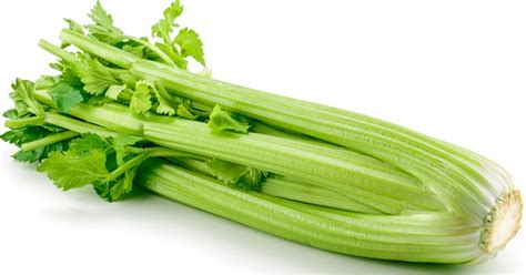 11 Surprising Health Benefits To Celery That Will Have You Craving It