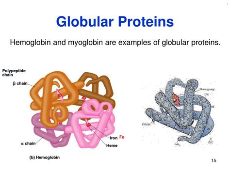 PPT - Structure & Classification of Proteins PowerPoint Presentation ...