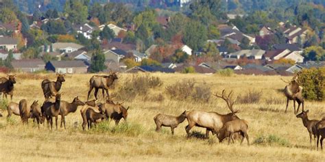 Highlands Ranch Backcountry Wilderness Area – Colorado